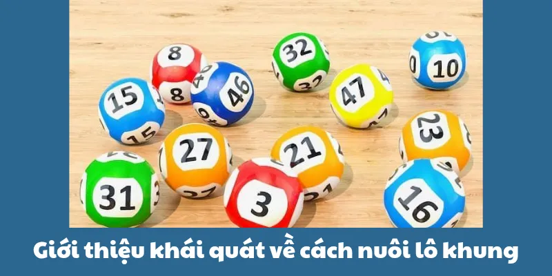 Giới thiệu khái quát về cách nuôi lô khung