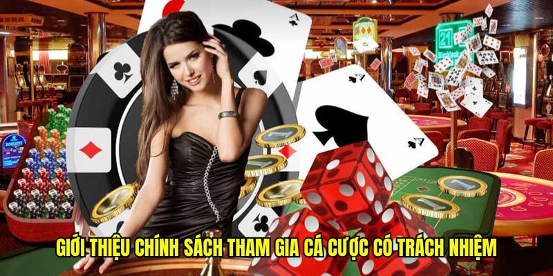 Giới thiệu chính sách tham gia chơi có trách nhiệm Dabet